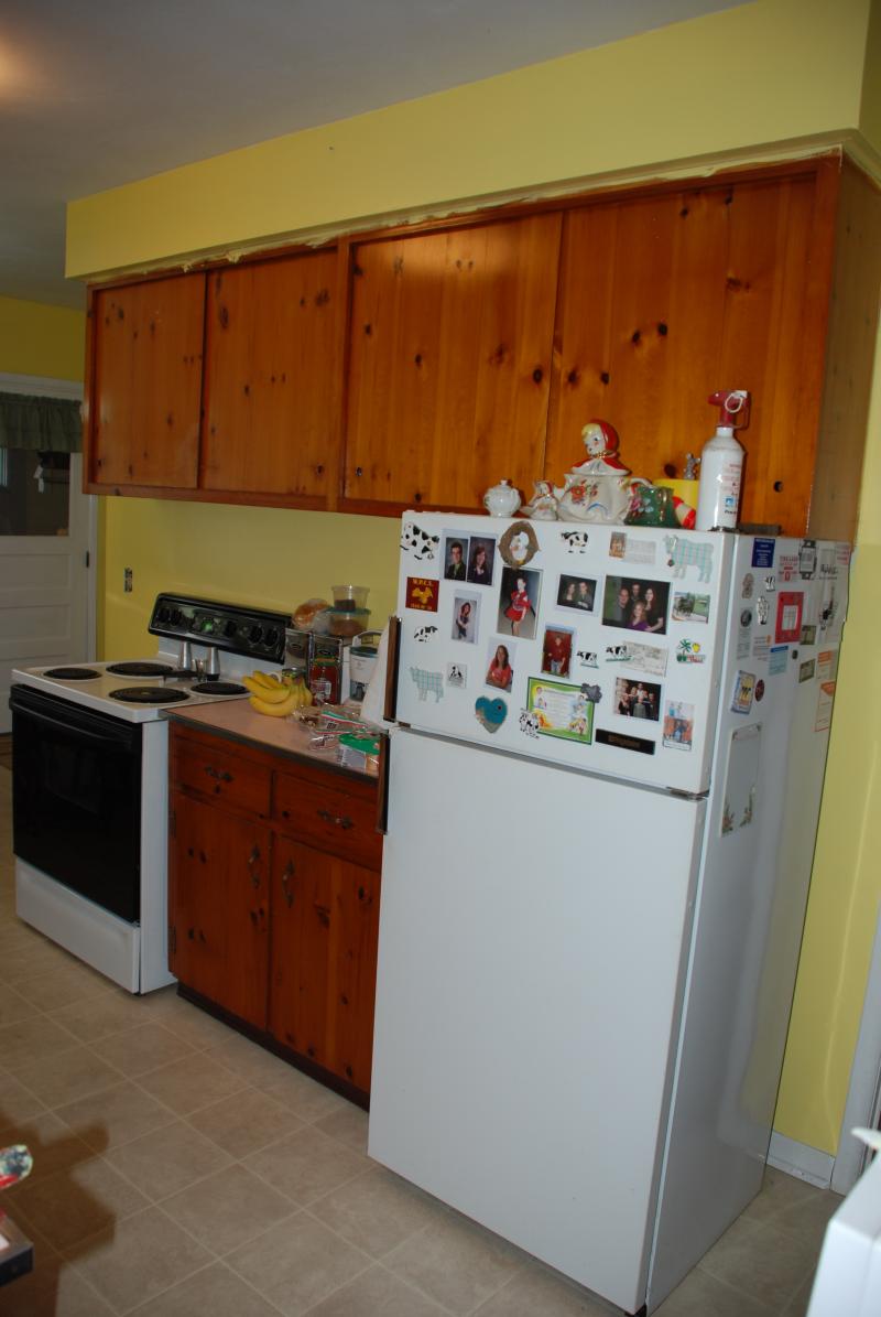 Kitchens 5 Whitney Point Vestal Binghamton Ny Triangle